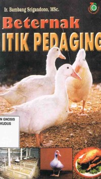 Image of Beternak Itik Pedaging