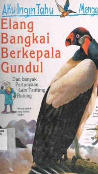 Image of Elang Bangkai Berkepala Gundul