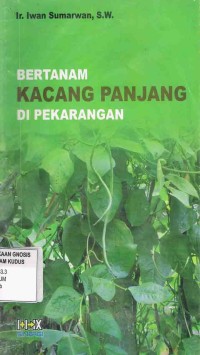Image of Bertanam Kacang Panjang di Pekarangan