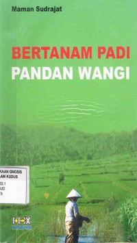 Image of Bertanam Padi Pandan Wangi