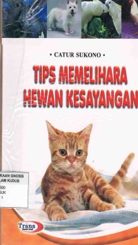 Image of Tips Memelihara Hewan Kesayangan
